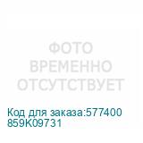 859K09731