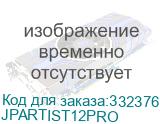 Графический планшет XP-Pen Artist 12 PRO FHD IPS HDMI черный (JPARTIST12PRO) XP-PEN JPARTIST12PRO