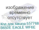 B650E EAGLE WF6E
