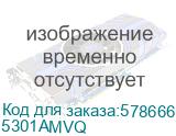 5301AMVQ