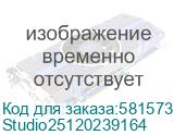 ПЭВМ Моноблок Raskat Studio 25120 (23.8 , IPS, Intel Core i5 14400, RAM 16Gb, SSD 512Gb, 120W, No OS) Studio25120239164 Studio25120239164