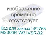 MS300R-WGLVSR-02